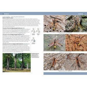 A PHOTOGRAPHIC GUIDE TO FLIES OF BRITAIN &AMP; IRELAND 2