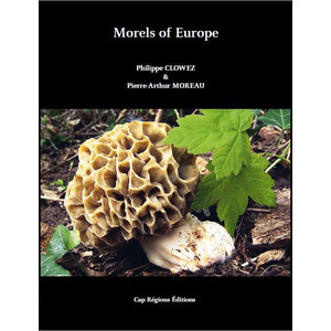 MORELS OF EUROPE