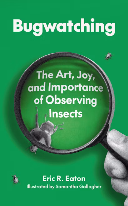BUGWATCHING: THE ART, JOY AND IMPORTANCE OF OBSERVING INSECTS