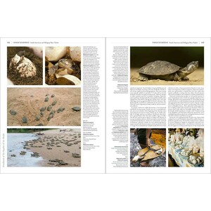 HANDBOOK OF THE REPTILES OF THE WORLD. TURTLES AND CROCODILES 3