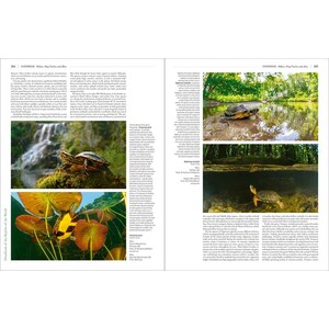 HANDBOOK OF THE REPTILES OF THE WORLD. TURTLES AND CROCODILES 4