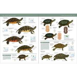 HANDBOOK OF THE REPTILES OF THE WORLD. TURTLES AND CROCODILES 5