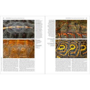 HANDBOOK OF THE REPTILES OF THE WORLD. TURTLES AND CROCODILES 6