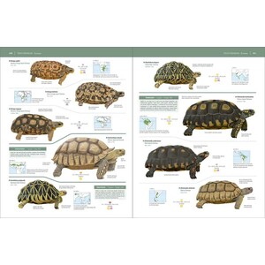 HANDBOOK OF THE REPTILES OF THE WORLD. TURTLES AND CROCODILES 8