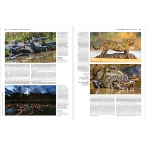 HANDBOOK OF THE REPTILES OF THE WORLD. TURTLES AND CROCODILES 9