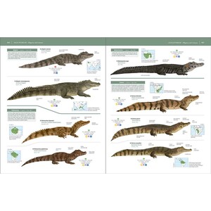 HANDBOOK OF THE REPTILES OF THE WORLD. TURTLES AND CROCODILES 10
