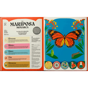 SUPERPODERES DE LOS INSECTOS 2