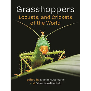 GRASSHOPPERS, LOCUSTS AND CRICKETS OF THE WORLD