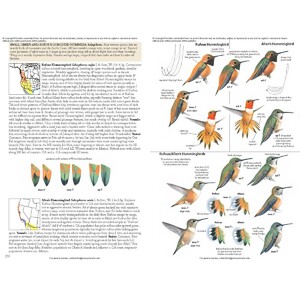 THE BIRD GUIDE: NORTH AMERICA 8