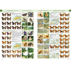 BUTTERFLIES OF THE WESTERN PALAEARCTIC. VOLUME 2: LYCENIDAE (AGRODIATEUS), RIODINIDAE, NYMPHALIDAE: LIBYTHEINAE, DANAINAE, CHARAXINAE, APATURINAE, LIM 3