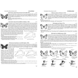 BUTTERFLIES OF THE WESTERN PALAEARCTIC. VOLUME 2: LYCENIDAE (AGRODIATEUS), RIODINIDAE, NYMPHALIDAE: LIBYTHEINAE, DANAINAE, CHARAXINAE, APATURINAE, LIM 5