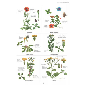 LE GRAND GUIDE DE LA NATURE_1