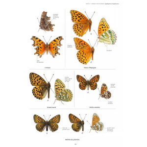LE GRAND GUIDE DE LA NATURE 3