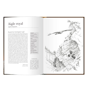 LES RAPACES D'EUROPE - TOME 1: RAPACES DIURNES 3