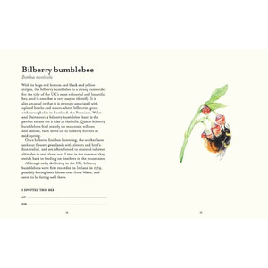 THE BEE SPOTTER'S GUIDE_1