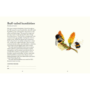 THE BEE SPOTTER'S GUIDE 3