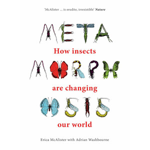 METAMORPHOSIS. HOW INSECTS ARE CHANGING OUR WORLD