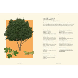 TREES: A POCKET GUIDE 3