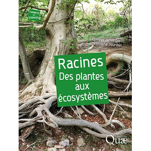 RACINES. DES PLANTES AUX ECOSYSTÈMES
