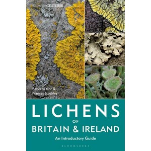 LICHENS OF BRITAIN AND IRELAND. AN INTRODUCTORY GUIDE