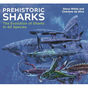 PREHISTORIC SHARKS THE EVOLUTION OF SHARKS IN 40 SPECIES