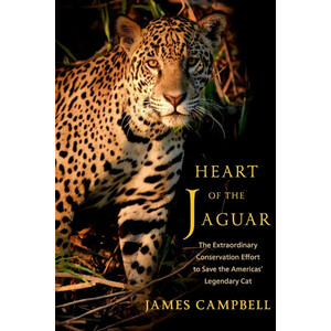 HEART OF THE JAGUAR THE EXTRAORDINARY CONSERVATION EFFORT TO SAVE THE AMERICAS' LEGENDARY CAT