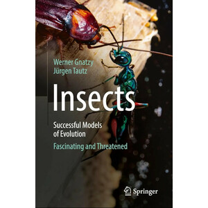 INSECTS. SUCCESSFUL MODELS OF EVOLUTION