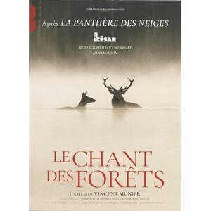 LE CHANT DES FORÊTS DVD