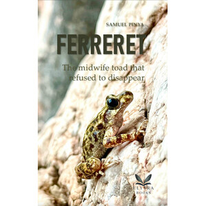 FERRERET. THE MIDWIFE TOAD THAT REFUSED TO DISAPPEAR