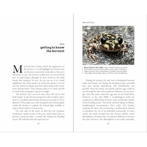 FERRERET. THE MIDWIFE TOAD THAT REFUSED TO DISAPPEAR_1