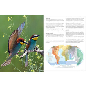 NATIONAL GEOGRAPHIC BIRDER'S ATLAS OF THE WORLD_1