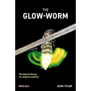 THE GLOW WORM. THE NATURAL HISTORY OF LAMPYRIS NOCTILUCA