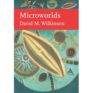 MIRCOWORLDS