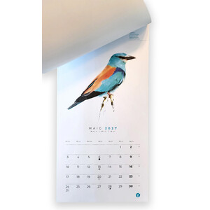 CALENDARI D'OCELLS NATURA IL·LUSTRADA 2027 3