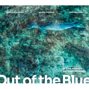 OUT OF THE BLUE. LA FOCA MONACA NEL MEDITERRANEO