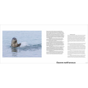 OUT OF THE BLUE. LA FOCA MONACA NEL MEDITERRANEO 3