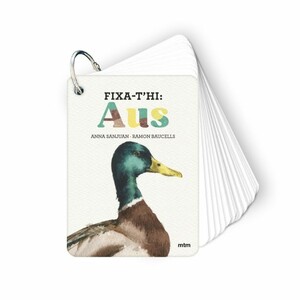FIXA-T'HI AUS