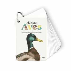 FÍJATE AVES