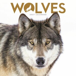 WOLVES SQUARE MINI CALENDAR 2027