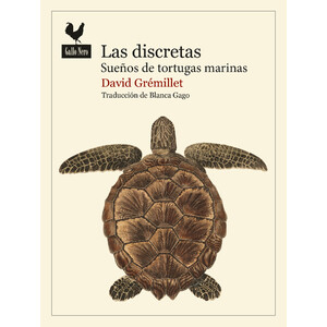 LAS DISCRETAS. SUEÑOS DE TORTUGAS MARINAS