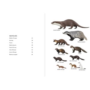 CARNIVORES PYRÉNÉENS_1