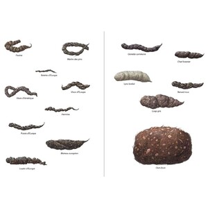 CARNIVORES PYRÉNÉENS 4