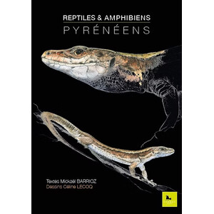 REPTILES ET AMPHIBIENS PYRÉNÉENS 1