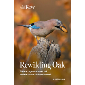 REWILDING OAK: NATURAL REGENERATION OF OAK AND THE NATURE OF THE WILDWOOD