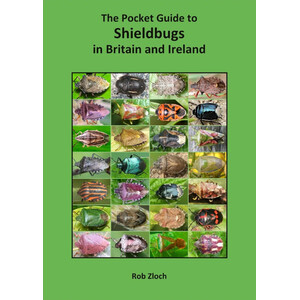 THE POCKET GUIDE TO SHIELDBUGS IN BRITAIN AND IRELAND