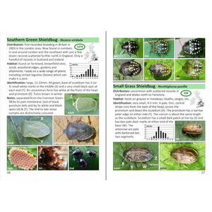 THE POCKET GUIDE TO SHIELDBUGS IN BRITAIN AND IRELAND_1