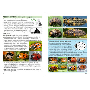THE POCKET GUIDE TO LADYBIRDS IN BRITAIN AND IRELAND_1