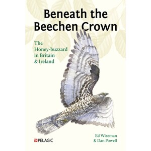 BENEATH THE BEECHEN CROWN. THE HONEY-BUZZARD IN BRITAIN &AMP; IRELAND