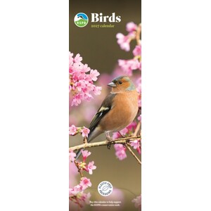RSPB SLIM BIRD CALENDAR 2027