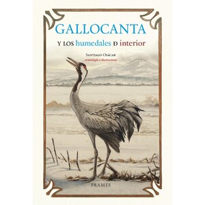 GALLOCANTA Y LOS HUMEDALES DE INTERIOR